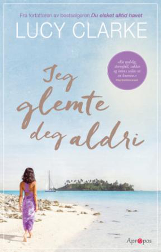 Jeg glemte deg aldri - roman (ebok) av Lucy Clarke