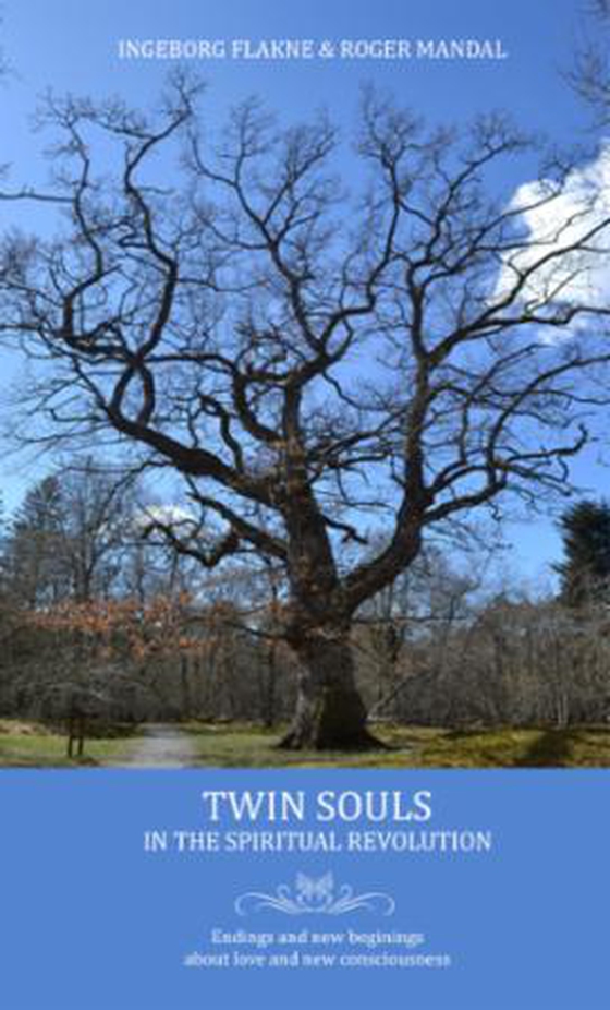 Twin souls in the spiritual revolution (ebok) av Ingeborg Flakne