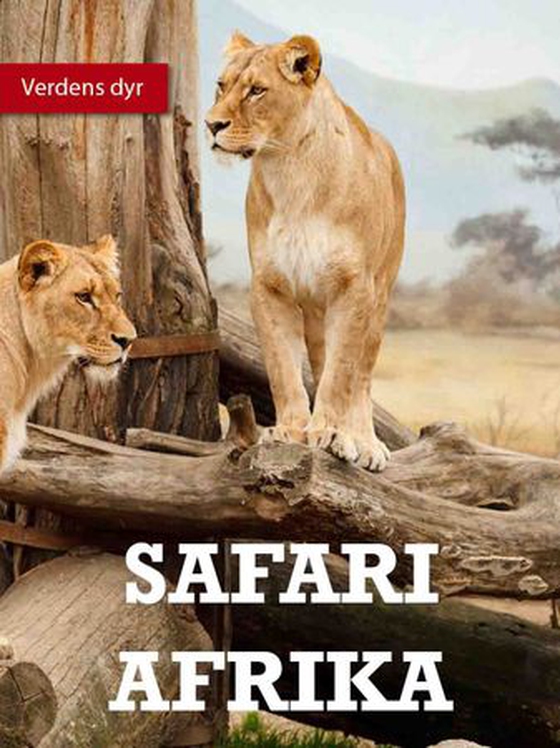 Safari
