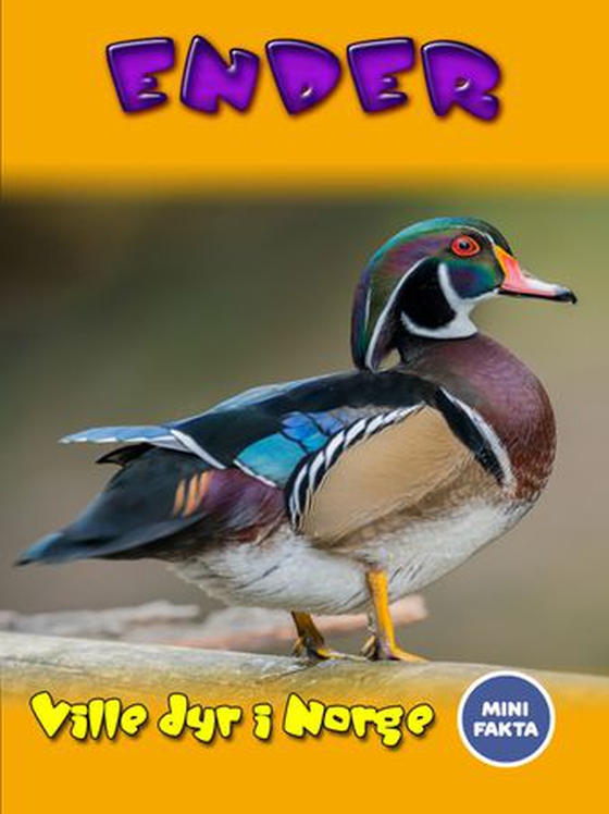 Ender (ebok) av Ukjent