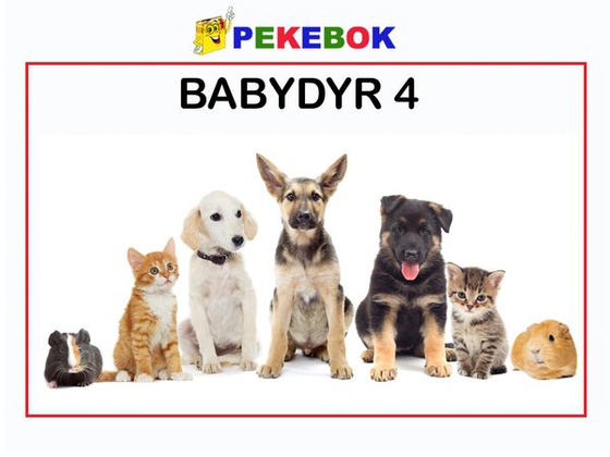 Babydyr 4 (ebok) av Ukjent