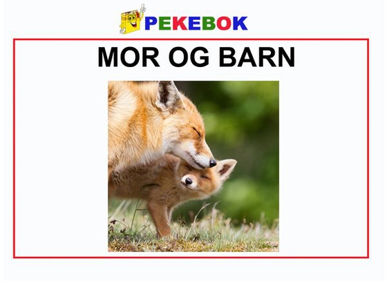 Mor og barn