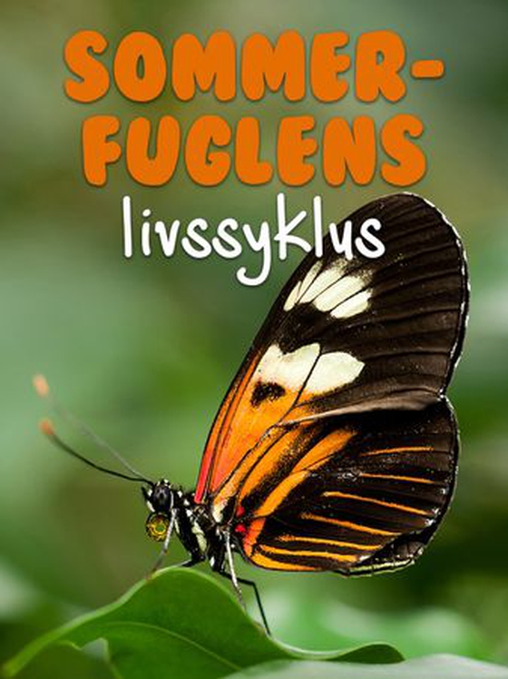 Sommerfuglens livssyklus