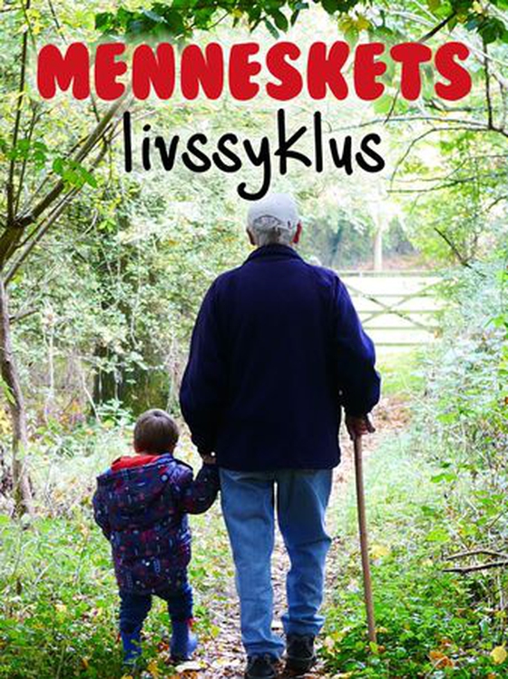 Menneskets livssyklus