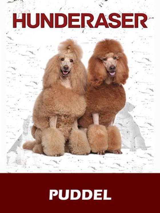 Puddel