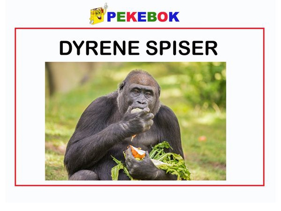 Dyrene spiser 1