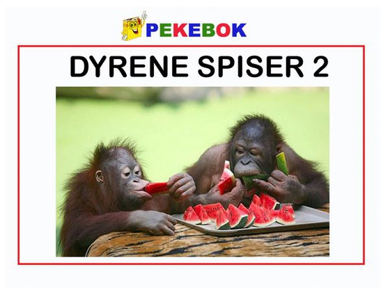 Dyrene spiser 2