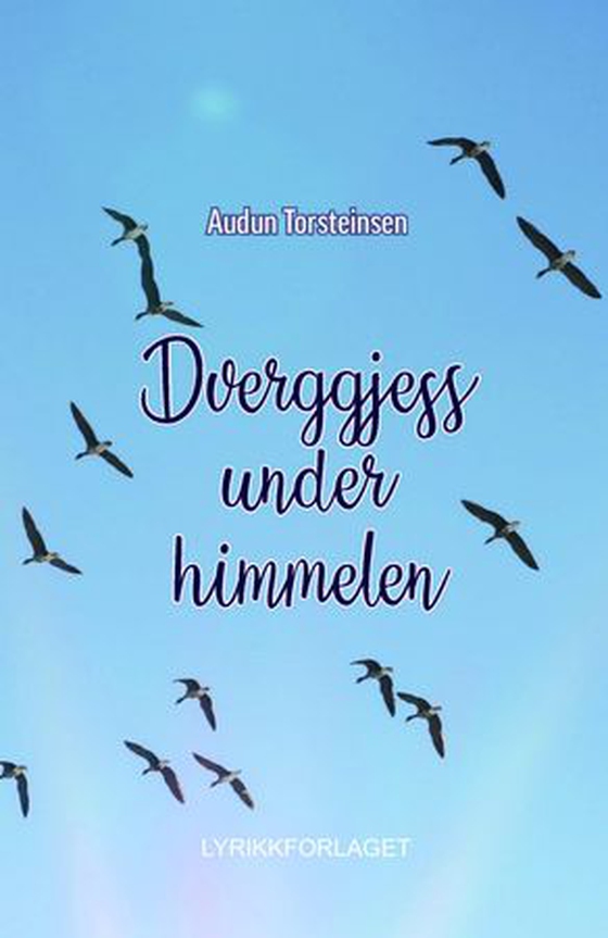 Dverggjess under himmelen (ebok) av Audun Torsteinsen