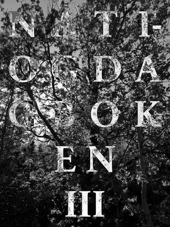 Natt- og dagboken III