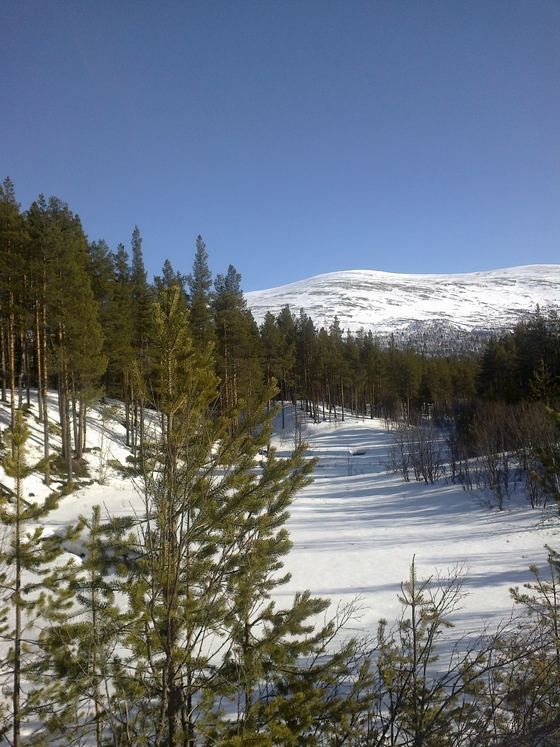 Da nils møtte nissen