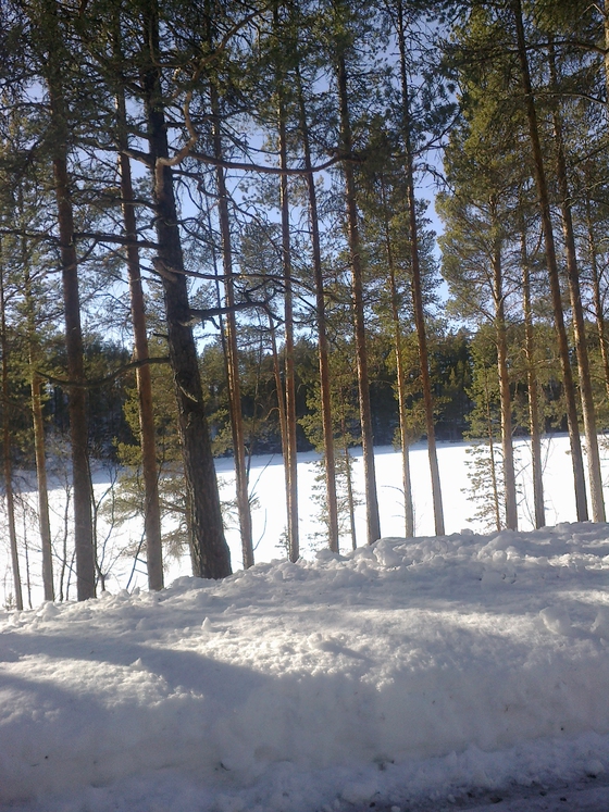 en sliten sjel s jul