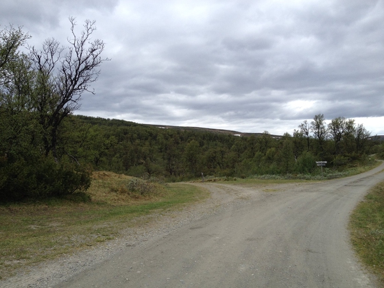 Sottohaugkaillens sønn