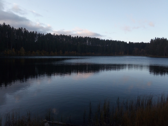 Gubben fra Røsjødala