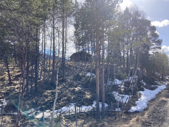 folket på Kåsvollen