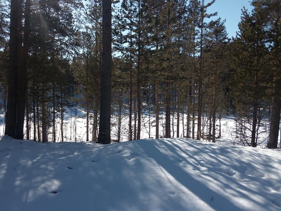 Jula Jens aldri glømme