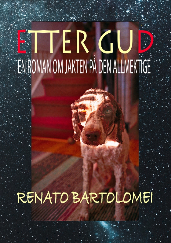 Etter Gud - En roman om jakten på den allmektige (ebok) av Renato Bartolomei