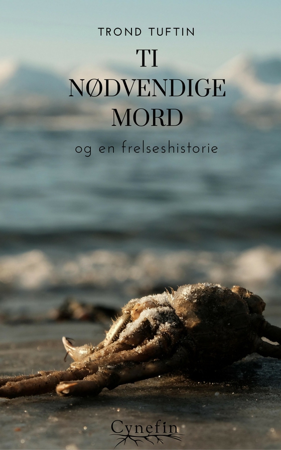 Ti nødvendige mord og en frelseshistorie (ebok) av Trond Tuftin