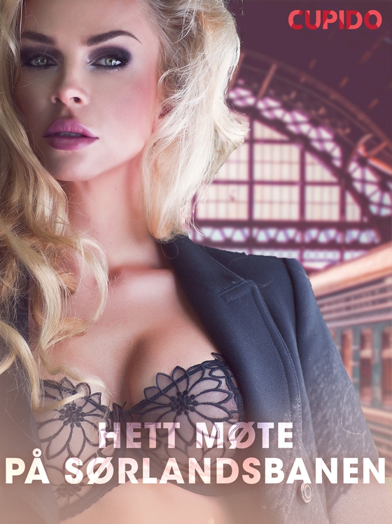 Hett møte på Sørlandsbanen – erotiske noveller (ebok) av Cupido .