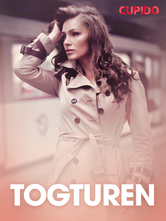 Togturen - erotiske noveller (ebok) av Cupido .