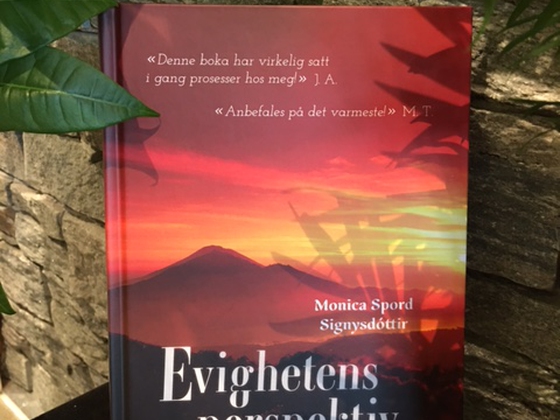 Evighetens perspektiv (ebok) av Monica Spord Signysdóttir