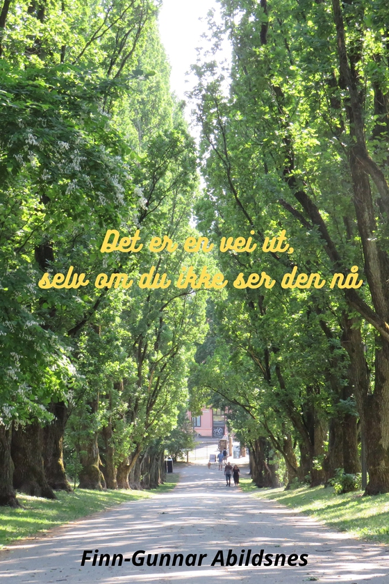 Det er en vei ut, selv om du ikke ser den nå (ebok) av Finn-Gunnar Abildsnes