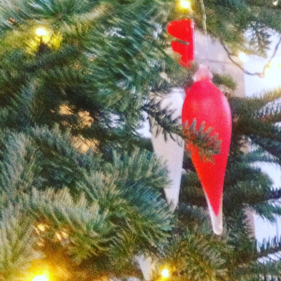 Desember - Lesestykker mot Jul (ebok) av Robert Djurhuus Wasa