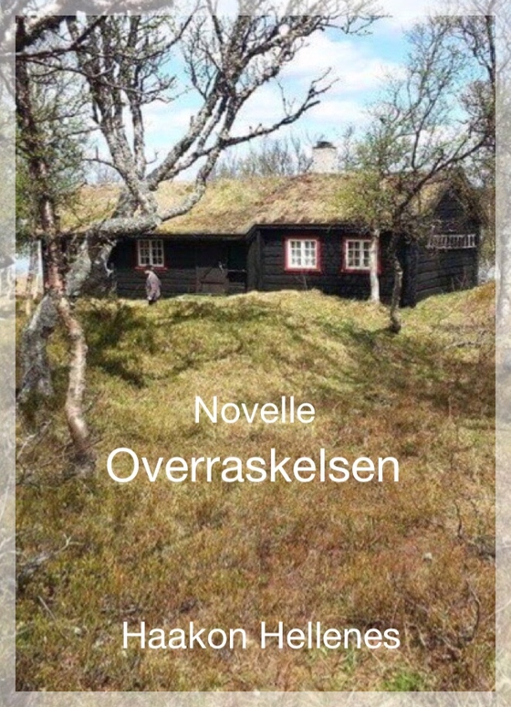 Overraskelsen