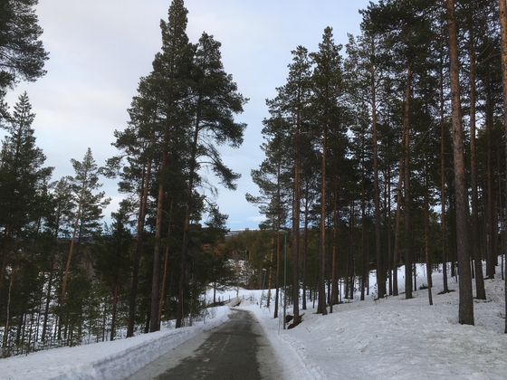 diktet om hummelfjell gubben