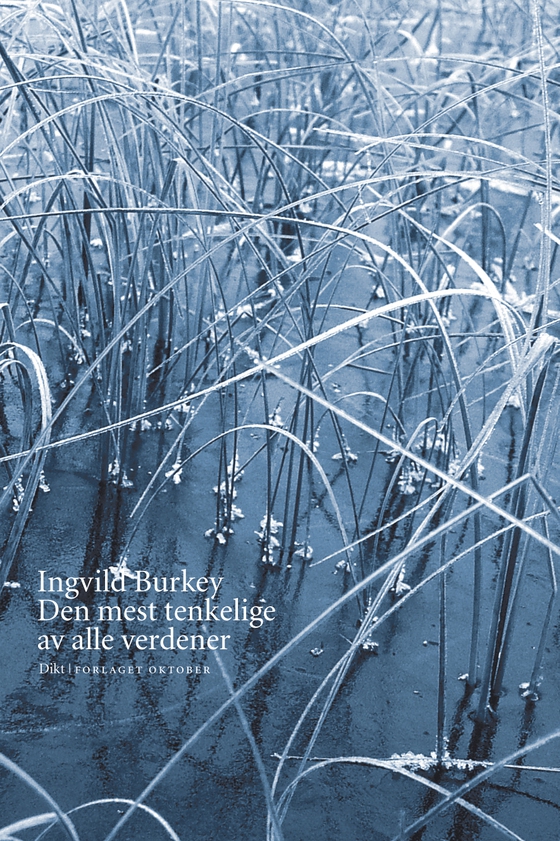 Den mest tenkelige av alle verdener