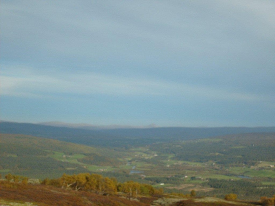 Petter 10 år seinere