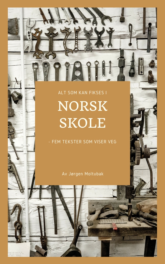 Alt som kan fikses i norsk skole