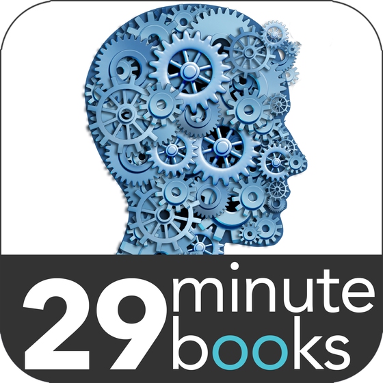 Affordable eStrategy - 29 Minute Books - Audio