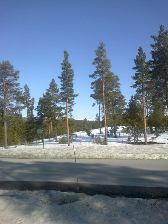 Det lir mot jul - Ei jule novelle (ebok) av Helge MIdtdal