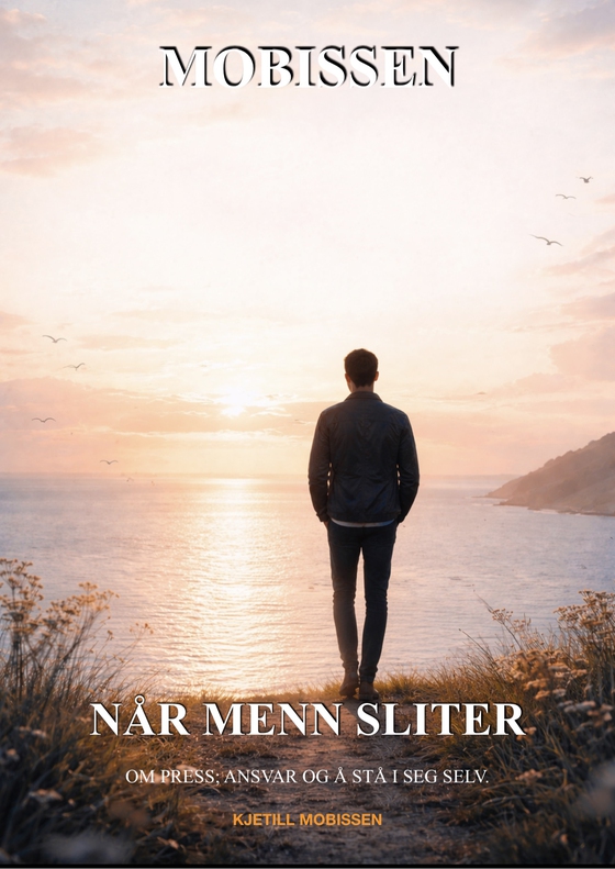 Når Menn sliter (ebok) av Kjetill Mobissen