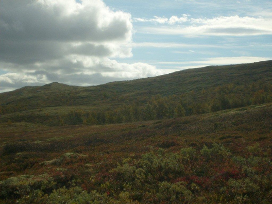 Rysspjokken