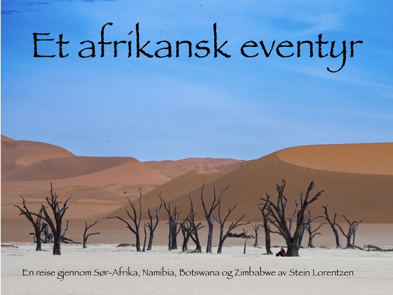 Et afrikansk eventyr - En reise gjennom Sør-Afrika, Namibia, Botswana og Zimbabwe (ebok) av Stein Lorentzen