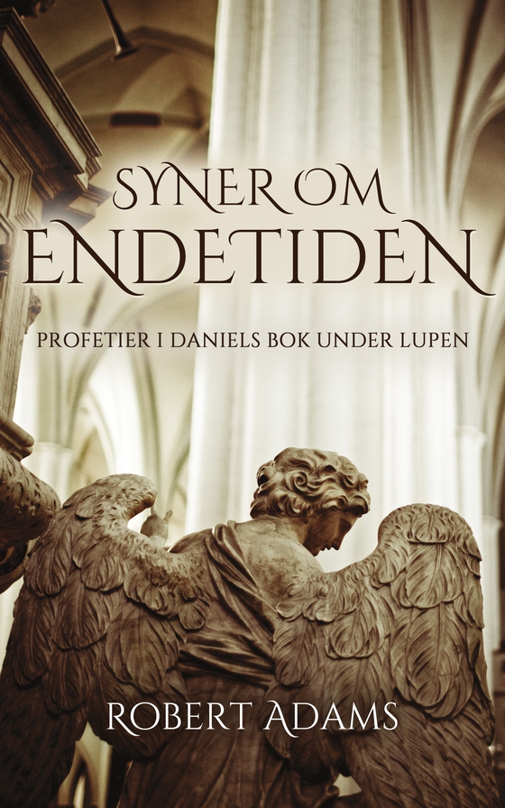 SYNER OM ENDETIDEN