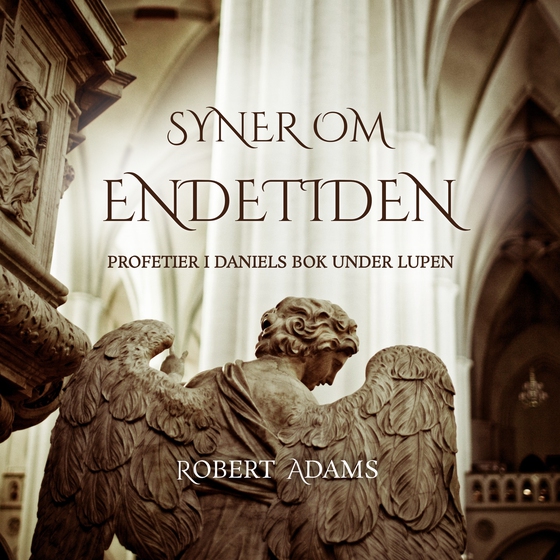 SYNER OM ENDETIDEN